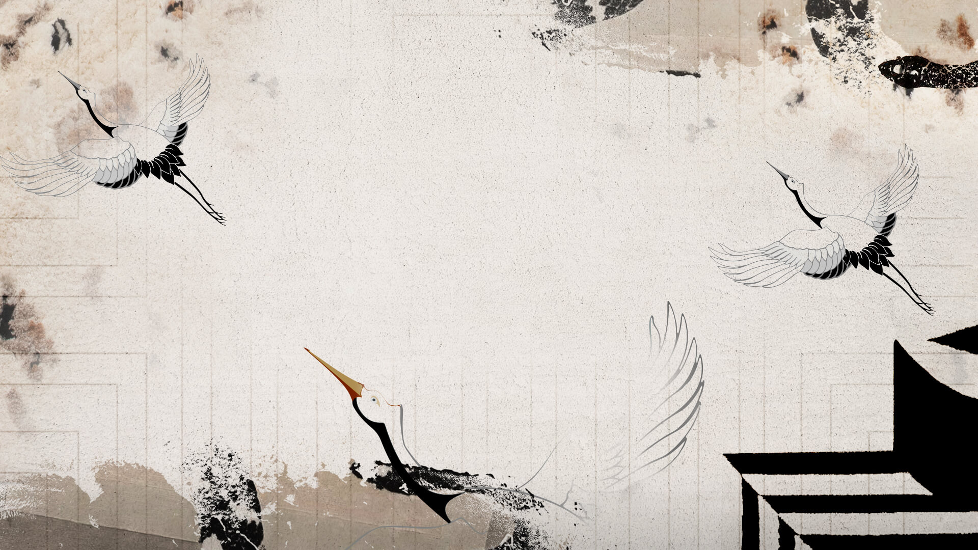 Flash Sale by Rug'Society