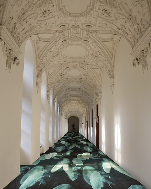 Runner Shape - Rug'Society