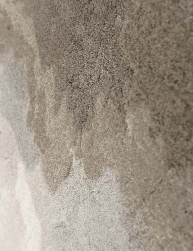 Oya Studio Rug by Rug'Society